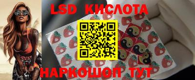 ГАЛЛЮЦИНОГЕННЫЕ ГРИБЫ Заволжье
