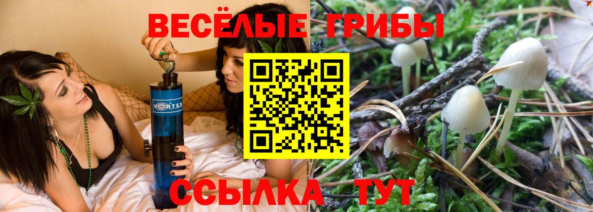 хочу   Псилоцибиновые грибы Psilocybine cubensis  Вход с VPN  Псилоцибиновые грибы ЛСД  Люберцы 